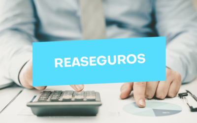 Procesos de reaseguro: un modelo de respaldo asegurador